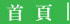 物流搬運箱 出口型棧板